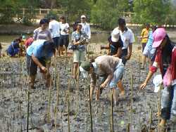 CLEAN WATER PROJECT